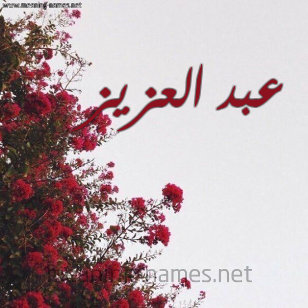 شكل 18 صوره الورد الأحمر للإسم بخط رقعة صورة اسم عبد العزيز Abd-alaziz